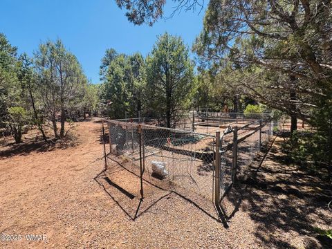 Tiny photo for 6843 Lucky Lane Lane, Show Low, AZ 85901 (MLS # 256421)