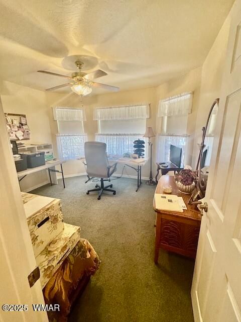 Tiny photo for 6843 Lucky Lane Lane, Show Low, AZ 85901 (MLS # 256421)