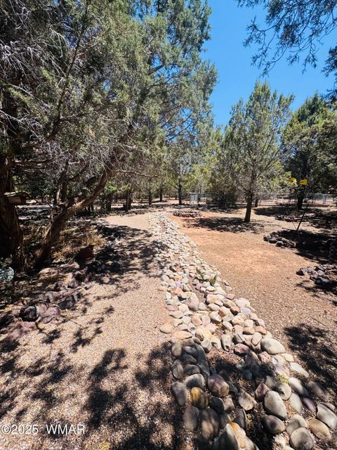 Tiny photo for 6843 Lucky Lane Lane, Show Low, AZ 85901 (MLS # 256421)