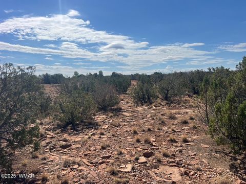 Photo of 002 Old Woodruff Rd, Snowflake, AZ 85937 (MLS # 257375)