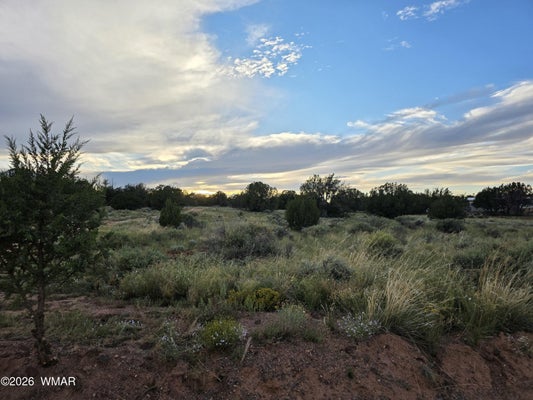 3908 HIDDEN RANCH RD, SNOWFLAKE, AZ 85937 - Image bb5a4fd7f3011cdff6cc63dc273d9fcb/1147345446