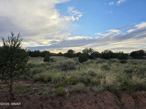 Photo of 3908 Hidden Ranch Road, Snowflake, AZ 85937 (MLS # 263185)
