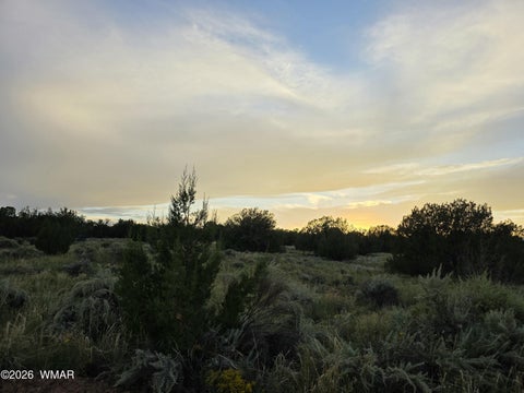Tiny photo for 3908 Hidden Ranch Road, Snowflake, AZ 85937 (MLS # 263185)