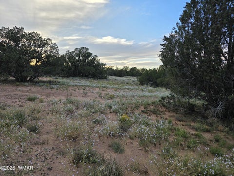 Tiny photo for 3908 Hidden Ranch Road, Snowflake, AZ 85937 (MLS # 263185)