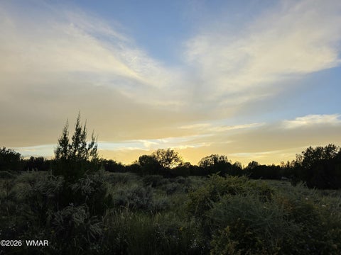 Tiny photo for 3908 Hidden Ranch Road, Snowflake, AZ 85937 (MLS # 263185)