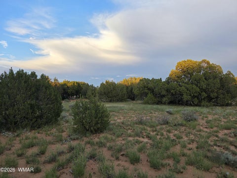 Tiny photo for 3908 Hidden Ranch Road, Snowflake, AZ 85937 (MLS # 263185)