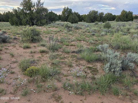 Tiny photo for 3908 Hidden Ranch Road, Snowflake, AZ 85937 (MLS # 263185)