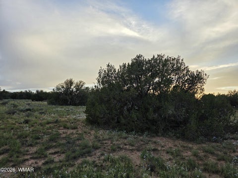 Tiny photo for 3908 Hidden Ranch Road, Snowflake, AZ 85937 (MLS # 263185)
