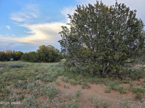 Tiny photo for 3908 Hidden Ranch Road, Snowflake, AZ 85937 (MLS # 263185)
