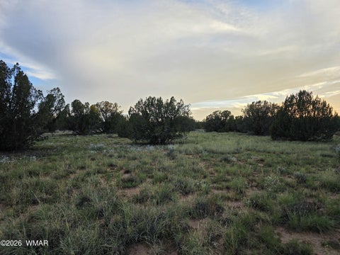 Tiny photo for 3908 Hidden Ranch Road, Snowflake, AZ 85937 (MLS # 263185)