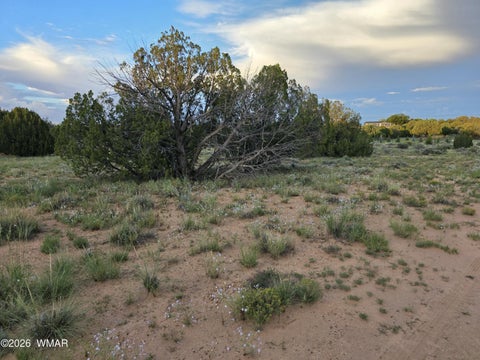 Tiny photo for 3908 Hidden Ranch Road, Snowflake, AZ 85937 (MLS # 263185)