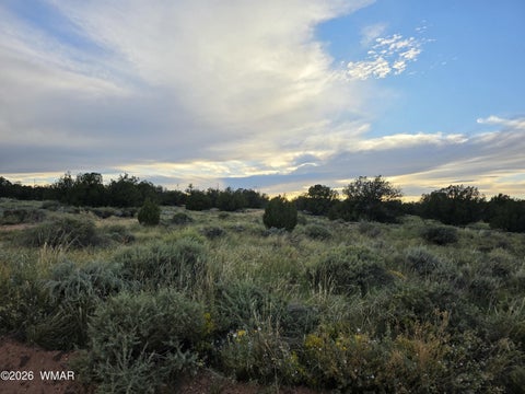 Tiny photo for 3908 Hidden Ranch Road, Snowflake, AZ 85937 (MLS # 263185)