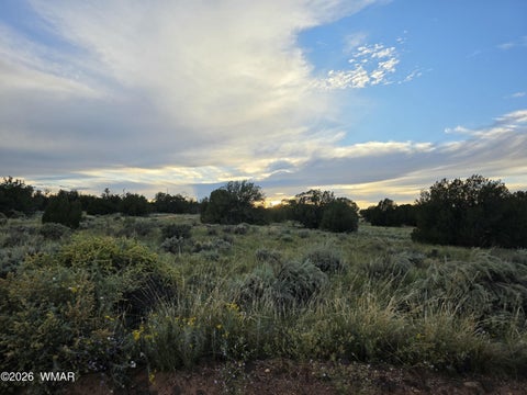 Tiny photo for 3908 Hidden Ranch Road, Snowflake, AZ 85937 (MLS # 263185)