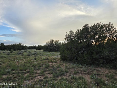 Tiny photo for 3908 Hidden Ranch Road, Snowflake, AZ 85937 (MLS # 263185)