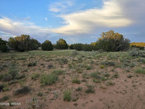 Tiny photo for 3908 Hidden Ranch Road, Snowflake, AZ 85937 (MLS # 263185)