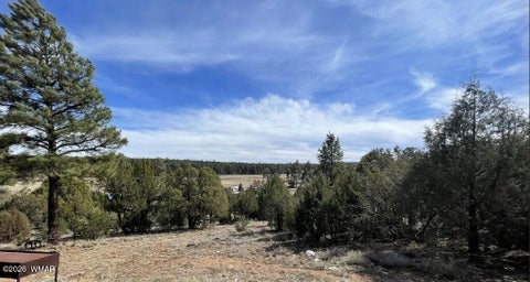 Tiny photo for 1501 E Stock Street, Show Low, AZ 85901 (MLS # 262968)