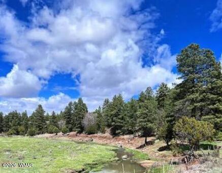 Tiny photo for 1501 E Stock Street, Show Low, AZ 85901 (MLS # 262968)