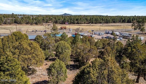 Tiny photo for 1501 E Stock Street, Show Low, AZ 85901 (MLS # 262968)