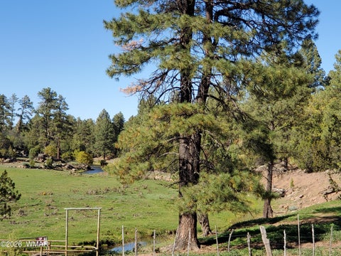 Tiny photo for 1501 E Stock Street, Show Low, AZ 85901 (MLS # 262968)