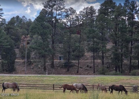Tiny photo for 1501 E Stock Street, Show Low, AZ 85901 (MLS # 262968)