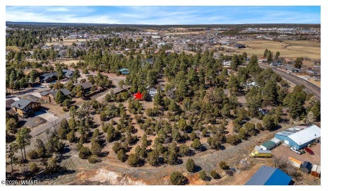 Tiny photo for 1501 E Stock Street, Show Low, AZ 85901 (MLS # 262968)