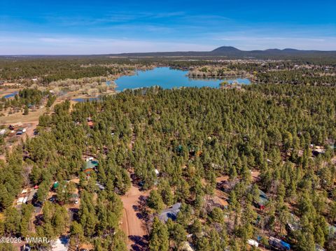 Tiny photo for 2957 Autumn Drive, Lakeside, AZ 85929 (MLS # 260260)