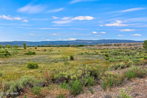 Tiny photo for 260 W Main Street, Springerville, AZ 85938 (MLS # 261868)