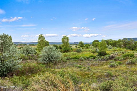 Tiny photo for 260 W Main Street, Springerville, AZ 85938 (MLS # 261868)