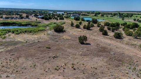 Tiny photo for Lot D TBD Huggins, Show Low, AZ 85901 (MLS # 259713)