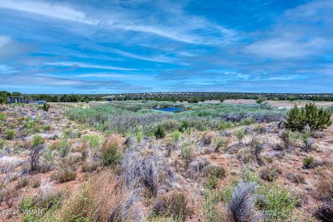 Tiny photo for Lot D TBD Huggins, Show Low, AZ 85901 (MLS # 259713)