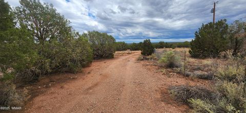 Photo of 4229 Mountain View Road, Snowflake, AZ 85937 (MLS # 258259)