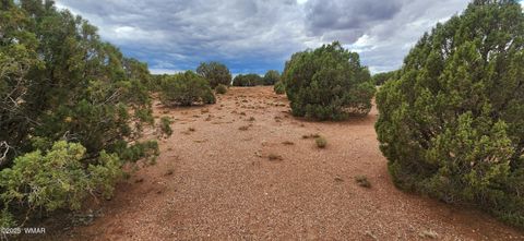 Tiny photo for 4229 Mountain View Road, Snowflake, AZ 85937 (MLS # 258259)