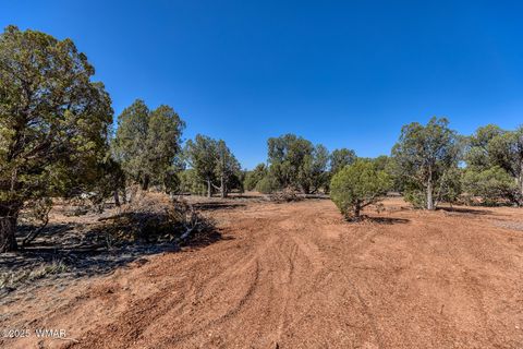 Tiny photo for 000 Aubri Lane, Show Low, AZ 85901 (MLS # 260230)