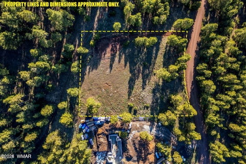 Tiny photo for 34 N 1330, Greer, AZ 85927 (MLS # 260322)