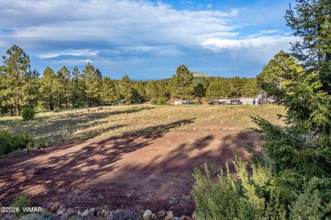 Photo of 34 N 1330, Greer, AZ 85927 (MLS # 260322)