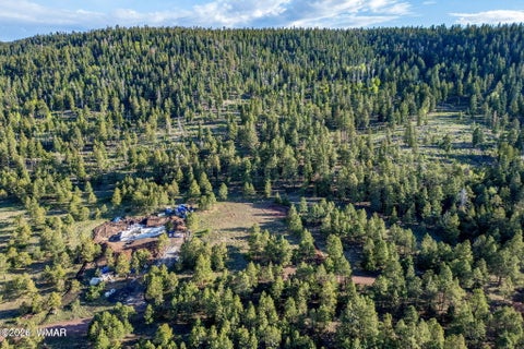 Tiny photo for 34 N 1330, Greer, AZ 85927 (MLS # 260322)