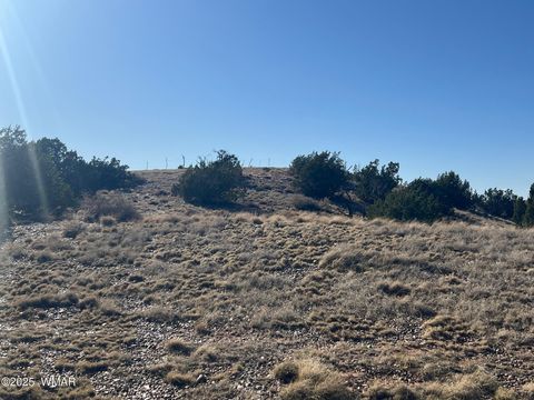 Tiny photo for 8834 Uttecht Trail, Snowflake, AZ 85937 (MLS # 258421)