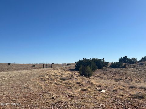 Tiny photo for 8834 Uttecht Trail, Snowflake, AZ 85937 (MLS # 258421)