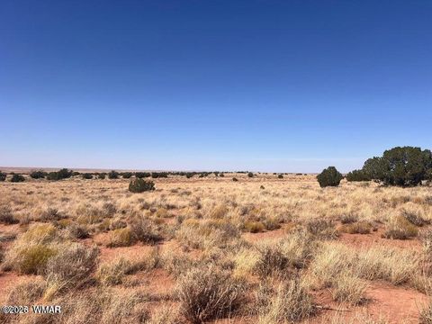 Photo of 598B Hopi Lane, Snowflake, AZ 85937 (MLS # 259062)