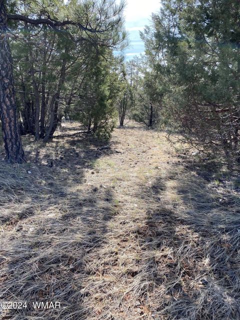 Tiny photo for 5481 Red Squirrel Lane, Lakeside, AZ 85929 (MLS # 252122)