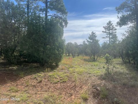 Photo of 5481 Red Squirrel Lane, Lakeside, AZ 85929 (MLS # 252122)