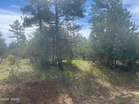 Tiny photo for 5481 Red Squirrel Lane, Lakeside, AZ 85929 (MLS # 252122)