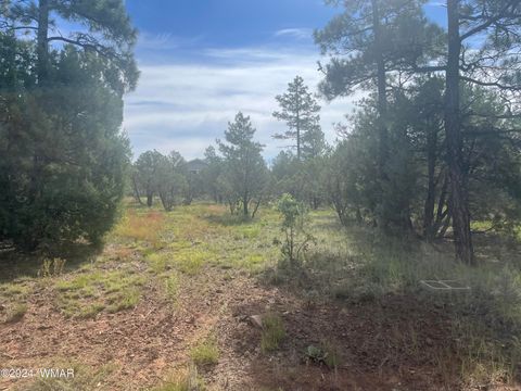 Tiny photo for 5481 Red Squirrel Lane, Lakeside, AZ 85929 (MLS # 252122)