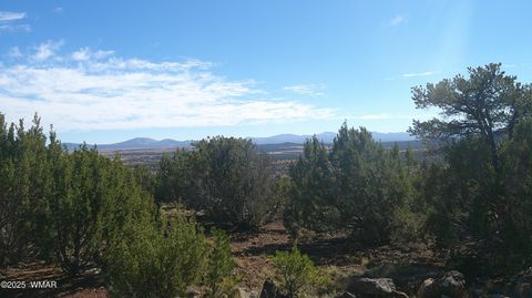 Photo of 76 County Road 8027, Concho, AZ 85924 (MLS # 258543)