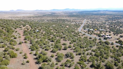 Tiny photo for 76 County Road 8027, Concho, AZ 85924 (MLS # 258543)