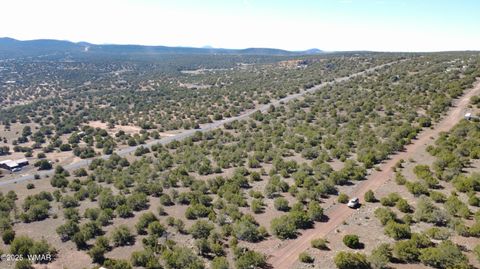 Tiny photo for 76 County Road 8027, Concho, AZ 85924 (MLS # 258543)