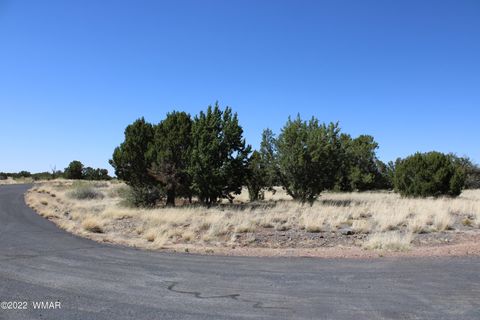 Tiny photo for 2511 Rock View Drive, Show Low, AZ 85901 (MLS # 241552)