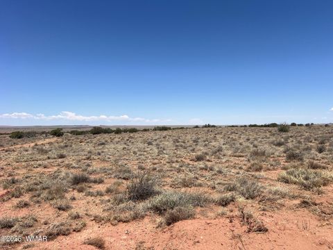 Tiny photo for 8492-A Holly Trail, Snowflake, AZ 85937 (MLS # 256566)