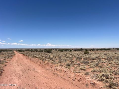 Tiny photo for 8492-A Holly Trail, Snowflake, AZ 85937 (MLS # 256566)