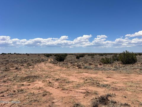 Tiny photo for 8492-A Holly Trail, Snowflake, AZ 85937 (MLS # 256566)